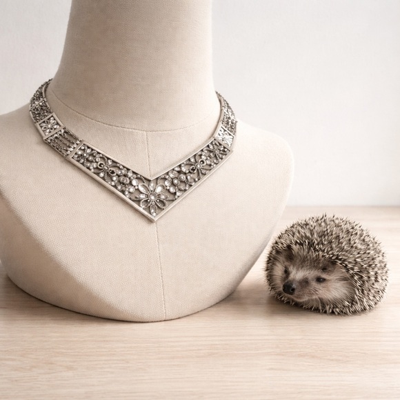 Touchstone Crystal Jewelry - Rare Touchstone Crystal by Swarovski Silver V-Shape Choker
Necklace 17"